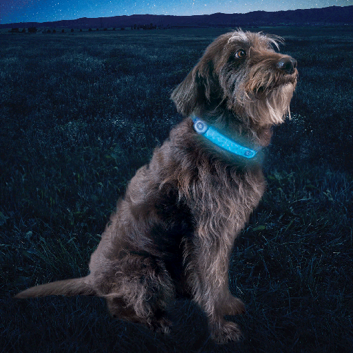 [NZ05462] NITE IZE NiteDog Rechargeable LED Collar Cover Disc-O Select