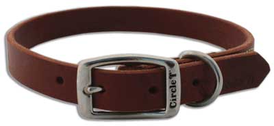 [CA2108-24] COASTAL Latigo Town Collar - 1 x 24