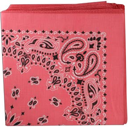 [BAN068] BANDANNA Paisley Strawberry