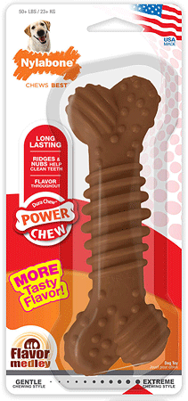 [NCF305] NYLABONE Dura Chew Power Chew Textured Bone Souper