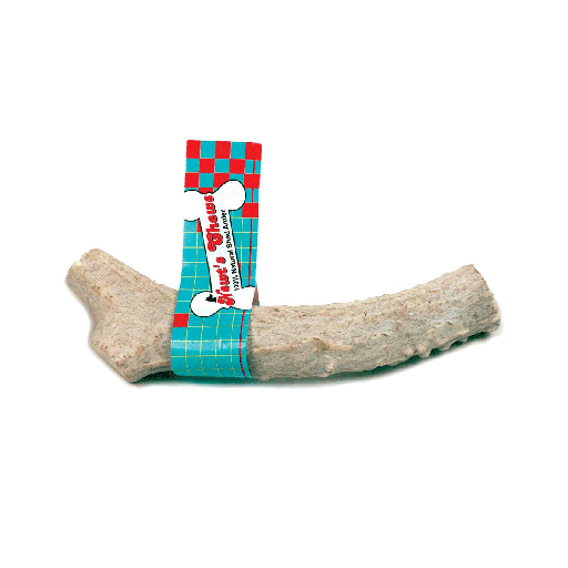 [NCS04509] *NEWT'S CHEWS Original Antler Small  Single